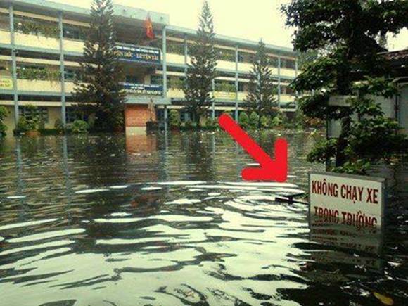 ngap-sau-trong-long-dan